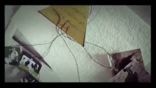 Pirámide Trófica Deber