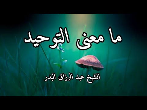 ما معنى التوحيد الشيخ عبد الرزاق البدر