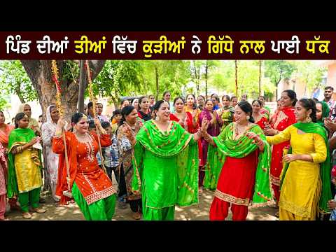 ਪਿੰਡ ਦੀਆਂ ਤੀਆਂ ਵਿੱਚ ਕੁੜੀਆਂ ਨੇ ਗਿੱਧੇ ਨਾਲ ਪਾਈ ਧੱਕ || mewla teeyan da gidha ty boliyan pa bnyia rang