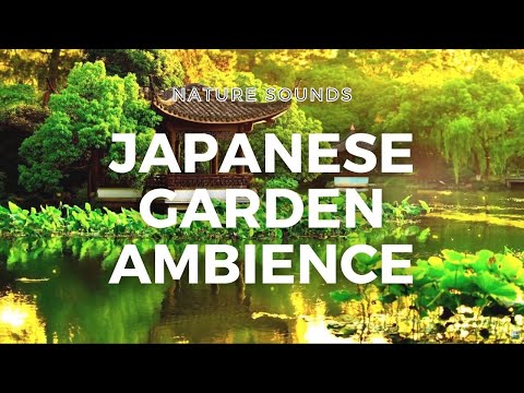 Japanese Garden Ambience Sounds With A Shishi Odoshi For Relaxation Meditation ASMR 1 Hour
