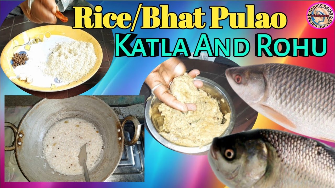 Rice / Bhat Pulao Recipe Attraction For Katla And Mrigal Machli Ke Liye ✅️