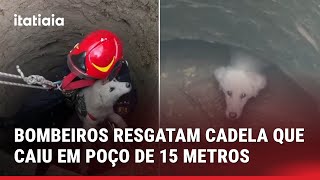 BOMBEIROS RESGATAM FILHOTE DE CACHORRO QUE CAIU EM POÇO DE MAIS DE 15 METROS