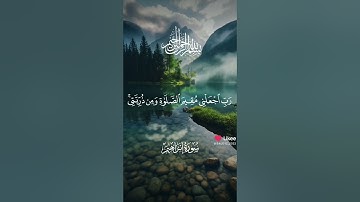 #تلاوة_خاشعة #القران #اكسبلور #المصحف #دويتو #الرحمن #لايك #تيك_توك #القزابري