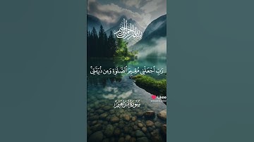 #تلاوة_خاشعة #القران #اكسبلور #المصحف #دويتو #الرحمن #لايك #تيك_توك #القزابري