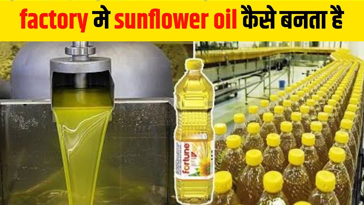 factory me sunflower oil kaise banta hai sunflower oil manufacturing