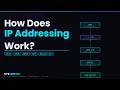 How Does IP Addressing Work