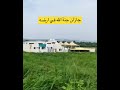 ربيع جازان عام 1446