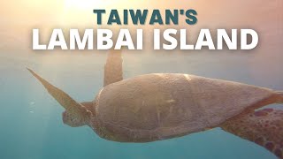 Snorkel with Sea Turtles on Taiwan's Lambai Island | Things to do in Xiaoliuqiu! 小琉球 by Helen and Tim Travel 2,306 views 1 year ago 15 minutes