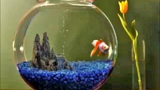 Goldfish Aquarium 2.0 screensaver