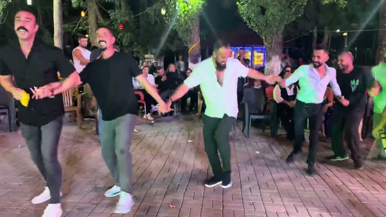 HOROZ OYUNU 🥁 #ovacik #dersim #halay #davulzurna #avrupa #horozoyunu #düğün