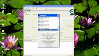 Heromice Fly Hack 2015