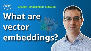 What are vector embeddings?