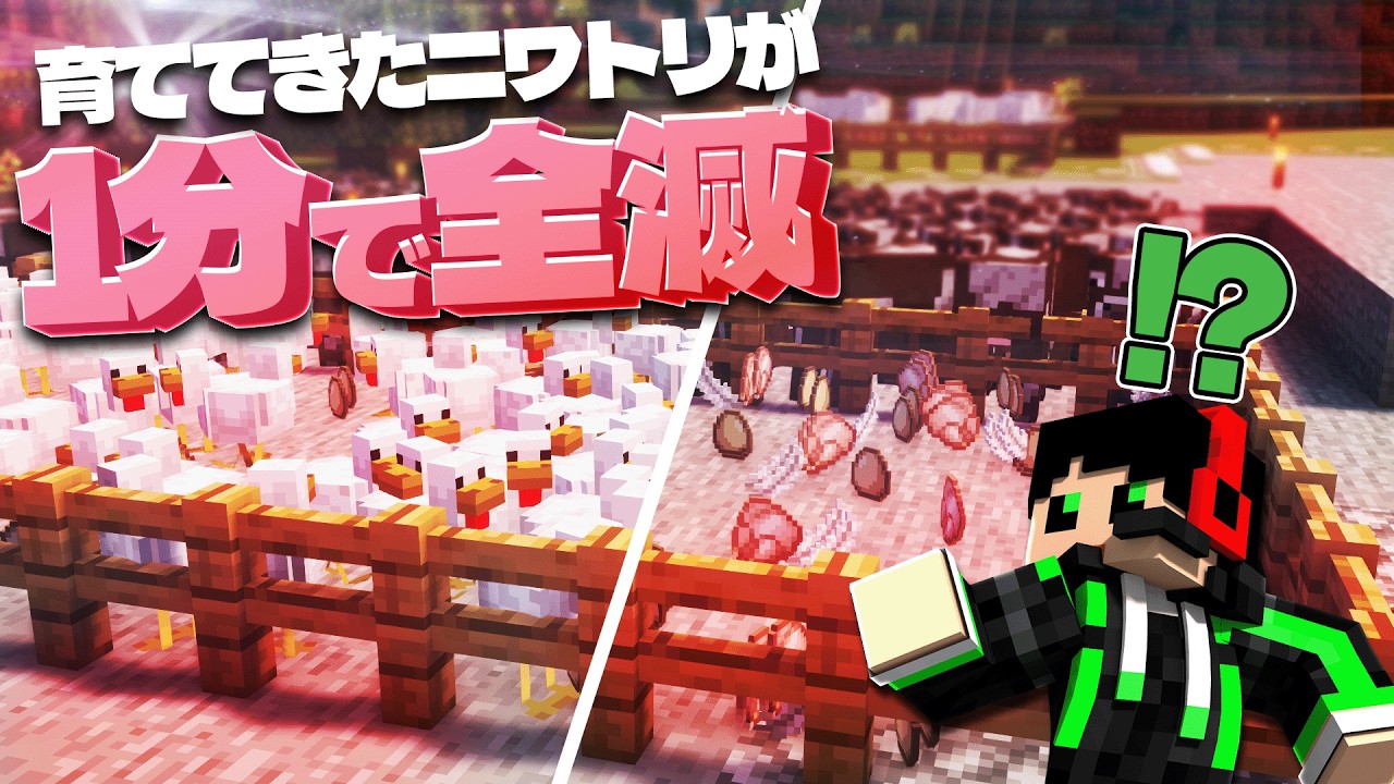 今まで育ててきたニワトリがスカルクによって一瞬で全滅しました【スカルク侵蝕クラフト Part13】
