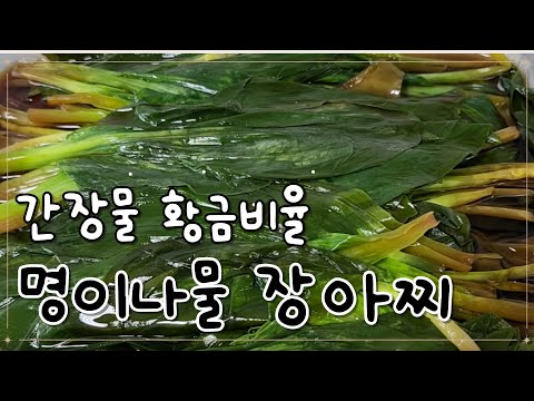 먹고사는 브이로그 ㅣ 산마늘 명이나물 장아찌 만들기, 간장물 비율은 이렇게 해보세요.