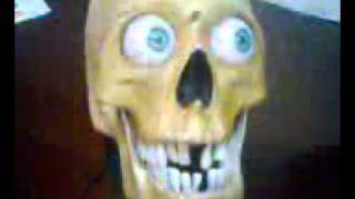 The Talking Skull