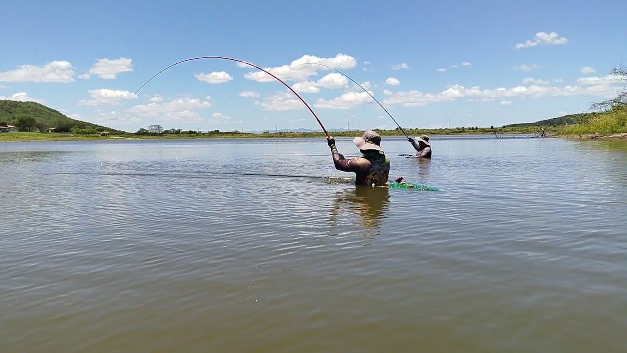 VEJAM que INCRÍVEL,o cardume encostou era um atrás do outro@fabio_baca @joabsonpescadorborapescar 
