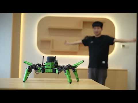 JetHexa--Human Posture Control / ROS Robot