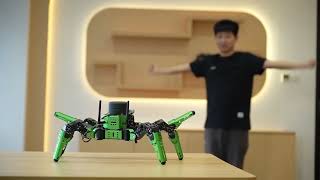 JetHexa--Human Posture Control / ROS Robot screenshot 5