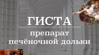 картинка: Препарат печёночной дольки | Гистология