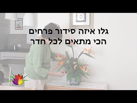 וִידֵאוֹ: איזה פרחים קונים להלוויות