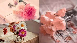 Beautiful flowers wallpapers/অসম্ভব সুন্দর কিছু ফুলের ছবি Part:01 screenshot 3
