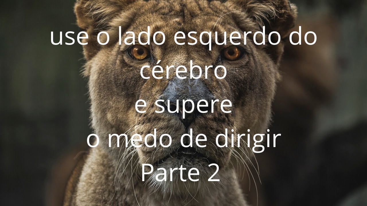 Como Superar o Medo de Dirigir | vídeo 2 | Vanessa Carmo Psicóloga ...