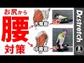 お尻からアプローチ！大臀筋・中殿筋を伸ばして「腰」の不調対策！＜3分ストレッチ＞ 【Dr.stretch / ドクターストレッチ】