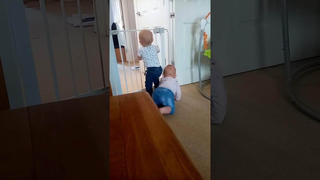 Nice calming babies together to calm you down for 22 seconds YouTube