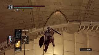 220307A PS4 ダークソウルリマスタード SL約30 合言葉25 白霊侵入霊募集 騎士アメリスクを作る