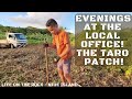 Planting Taros At Our Taro Patch | Taro Farming |