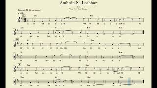 🐢 Learn Amhran Na Leabhar (air) Play Along Very Very Slow to Slow. Tune of the week Irish music.