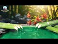 Relaxation Music: soothing water sounds, Full Nature Sound Brain Therapy, Sleep Relaxation, Insomnia