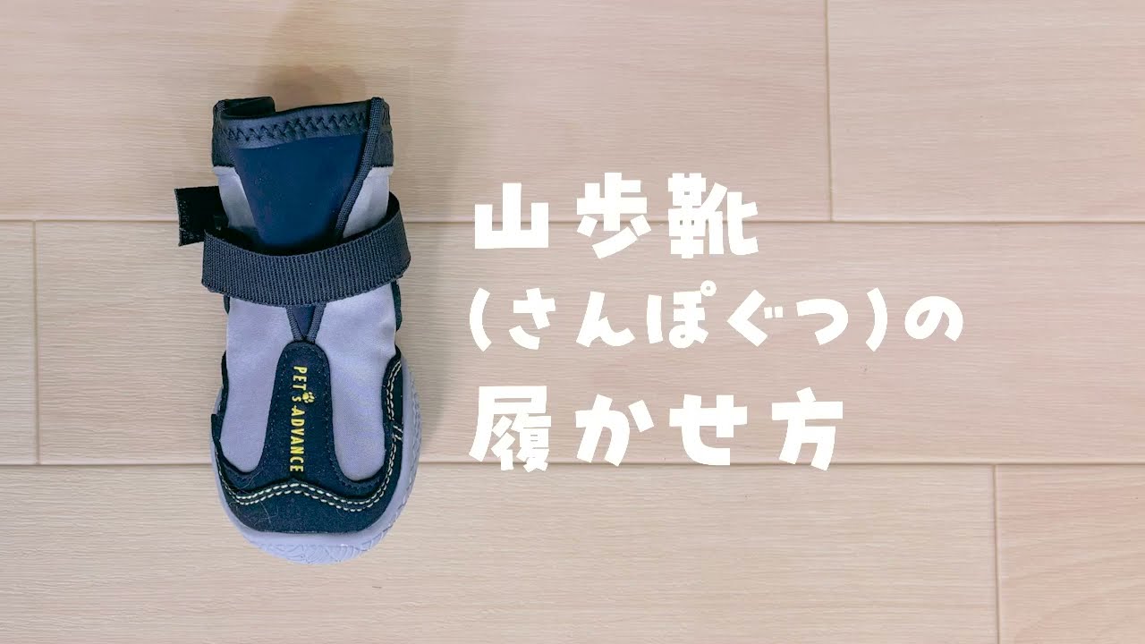 新サイズ0号発売】山歩靴（さんぽぐつ）[PASS] 2個入り | 犬の靴・靴下
