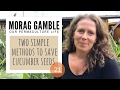 Two Methods to Save Cucumber Seeds with Morag Gamble