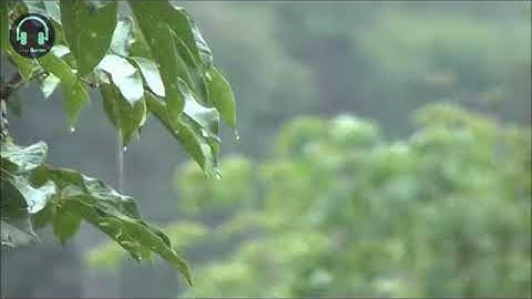 Relaxing reading Quran to the sound of rain  Surah 55 Ar Rahman  Omar Hisham