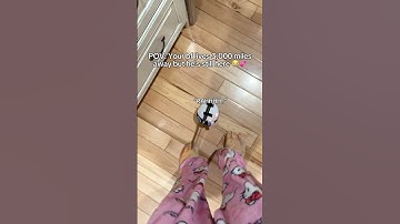 What is wrong with him? 😭💕 #longdistance #minirobot