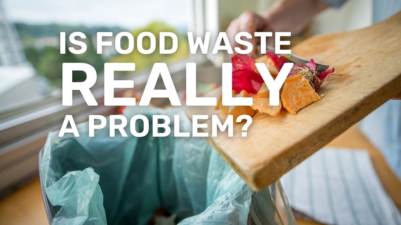 Food Waste Good Information - YouTube