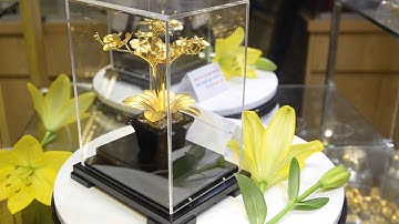 HOA LAN HỒ ĐIỆP DÁT VÀNG - VIETDGOLD24K.COM - 0917948855 QUÀ CƯỚI - LỄ TẾT - QUÀ SẾP - TÂN GIA