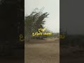 الرياح تعصف بمزارع وادي النطرون طريق العداله