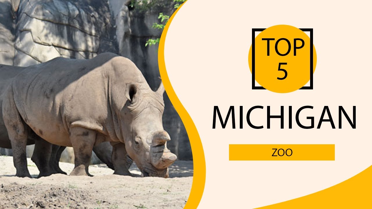 Top 5 Best Zoo in Michigan USA English YouTube