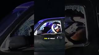 K-9 Smashes Through Car Window to Capture Suspect in Seconds! 🚔🐕💥 ##shorts