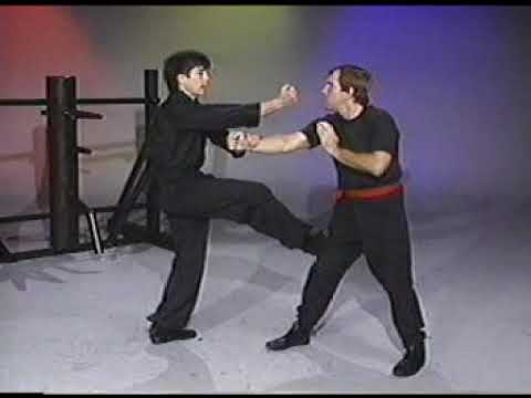 Video Randy Williams - Wing Chun Dummy Drills | Martial arts... - youtube