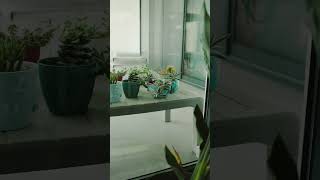 ghpokno   sdy dsygfsudyf