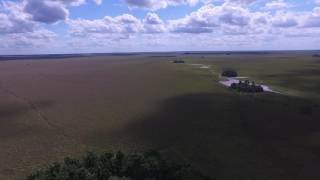 Blue-throated Macaw habitat at Barba Azul Nature Reserve; drone overview