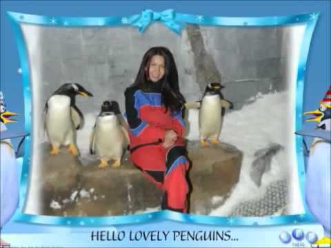 WE FOUND LOVELY PENGUIN AT SKI DUBAI