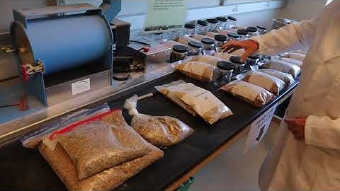 Behind the Scenes at the UVM Grains Lab