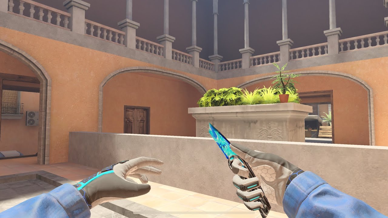 Draco magne + Nano carbon 