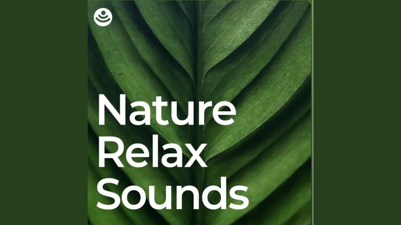 Serene Nature Ambience - No Fade, Loopable