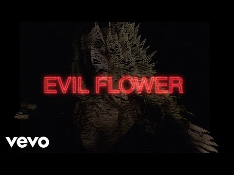 Noel Gallagher’s High Flying Birds - Evil Flower (Official Lyric Video)