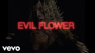 Noel Gallaghers High Flying Birds - Evil Flower (Official Lyric Video)